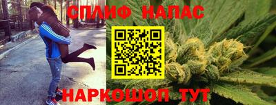 стаф Бузулук