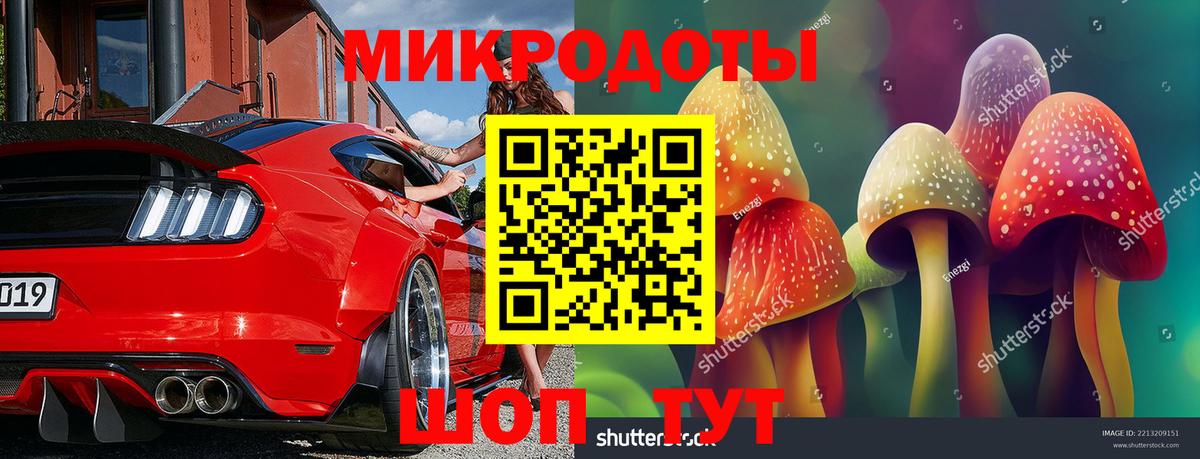 Псилоцибиновые грибы мицелий Ливны